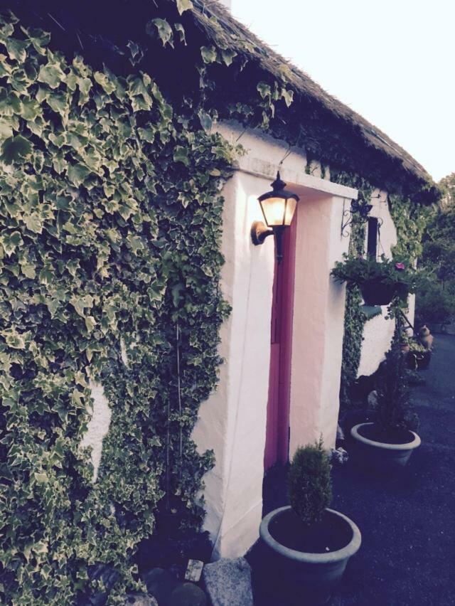 Teresas Cottage Donegal Town Екстер'єр фото